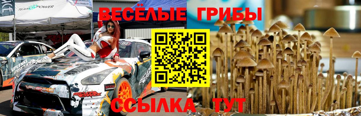 Галлюциногенные грибы ЛСД Дмитров